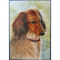 Мысли. Н.Рубачева.Россия. 2017 г.