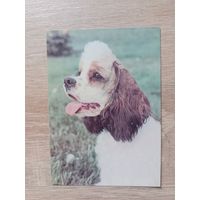 Календарик 1993