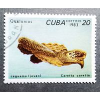 Марка Куба 1983 Черепаха