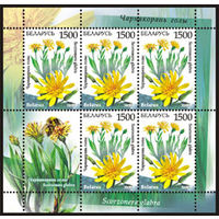 Малые листы "Чернокорень голый (5м + купон)", "Кураслеп лесной (5м + купон)"