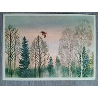 1958. Курдов. Тяга вальдшнепов