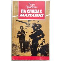 Па слядах маланкі. Кніга-дзённік. Прыходзька