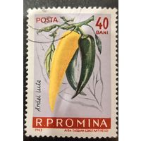 Румыния 1963. Флора. Перец. Ardei iute