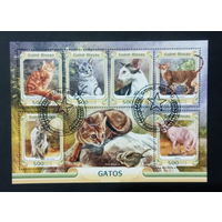 ФАУНА КОШКИ ПОРОДЫ КОШАК ЖИВОТНЫЕ     БЛОК  сто