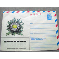 С026-0038 Конверт Чистый Авиа Колючник бесстебельный 1982