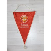 Вымпел, за высокие спортивные достижения.
