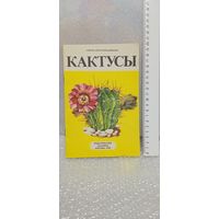 Кактусы. Альбом для раскрашивания. 1990г.