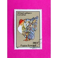 Румыния. Птицы. ( 1 марка ) 1995 года. 5-6.