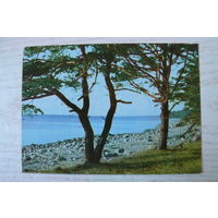 Прибалтика, Латвийская ССР, Побережье моря в окрестности Туи; чистая.