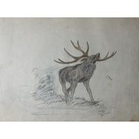 Рисунки Природа