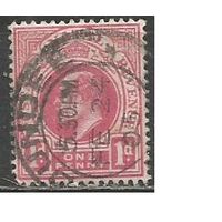 Южная Африка. Наталь. Король Эдуард VII. 1902г. Mi#59.