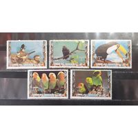 Ум-эль-Кувайн. Фауна. Птицы (1253)