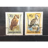 Венгрия. 1962 год. Фауна. Птицы (1320)