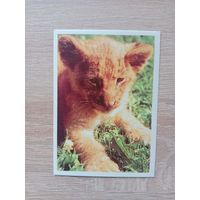 Календарик 1990