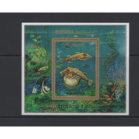 Манама 1971** Морская Фауна Тропические Рыбы Блок зуб