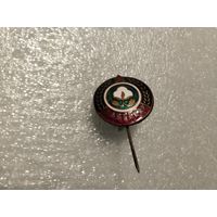 СК Пахтакор т.м