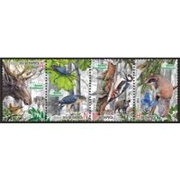 Налибокская пуща. Сцепка, 2014. Беларусь