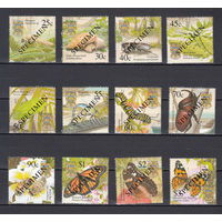 Фауна. Бабочки. Тувалу. 2001. 12 марок (SPECIMEN). Michel N 1008-1019 (21,0 е)