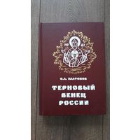 Святая Русь. Открытие русской цивилизации | О.В. Платонов | Терновый венец России