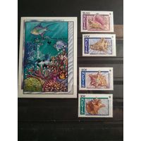 Невис 1990 г. Ракушки. Морская фауна.