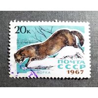 Марка СССР 1967 год Пушные звери