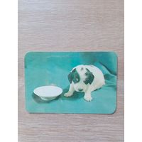 Календарик 1991