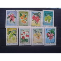 Вьетнам, 1981. Ягоды и фрукты, полная серия