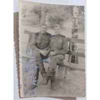 Фото в коллекцию