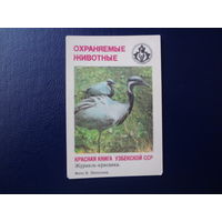 Календарик 1987 г.  Красная книга Узб.ССР.  Журавль-красавка.