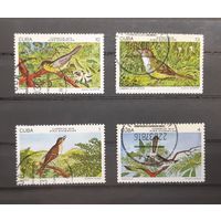 Куба. 1978 год. Фауна. Птицы (4 марки из серии)