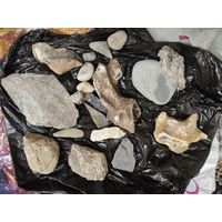 Окаменелости