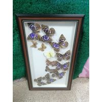 Панно Бабочки, красивое