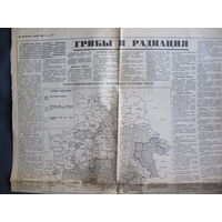 Грибы и радиация. Схема зонирования БССР по возможности заготовки грибов. Вечерний Минск 25.05.1989 (вырезка)