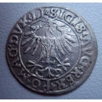Полугрош 1556 г. Сигизмунд II Август.