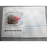 С026-0052 Конверт Чистый Цветущие кактусы 1983