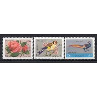 Иран 1969. Птицы. Флора роза. 3 марки (1417)