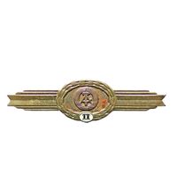 Национальная народная армия ГДР. Общий знак классификации классного специалиста ННА. 2 класс
