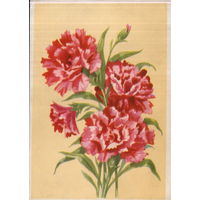 Подписанная открытка 1960-ых гг. БССР "Гвоздика" худ. В. Зеленов