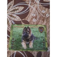 Календарик,реклама,2009-2010