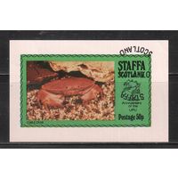 Стаффа(Шотландские ос-ва)-1974 , гаш. , Морская  Фауна,Крабы