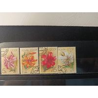 1989. Лилии, полная серия