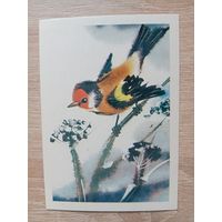 Каневский 1985 мини