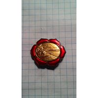 Пекин. Летний императорский дворец. Парк Ихэюань, мост Шицикунцзяо. Старый китайский знак.