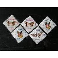 Испанская Сахара 1970, Бабочки