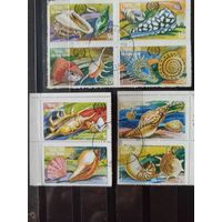 Эйнхаллоу. Ракушки