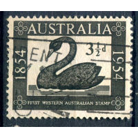 Австралия - 1954г. - 100 лет первым маркам Западной Австралии - 1 марка - полная серия, гашёная [Mi 247]. #3-WB-87-A-1