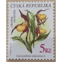 Чехия. Флора. Cypripedium calceolus