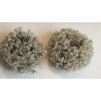 Мох сушеный для творчества