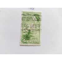Бермуды 1953
