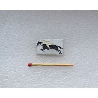 Конный спорт.